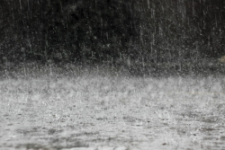 Media advisory: Napier flood update Date 10/11/20, 7.30pm