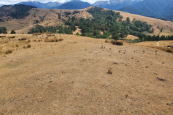 Hawke’s Bay Rural Advisory Group keeping an eye on the dry