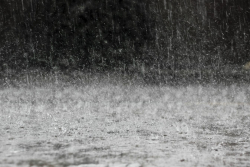 Media advisory: Napier flood update Date 10/11/20, 7.30pm