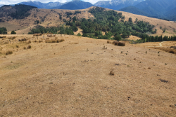 Hawke’s Bay Rural Advisory Group keeping an eye on the dry